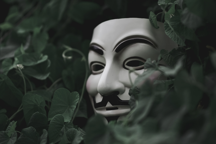 Guy Fawkes mask hiding in trees